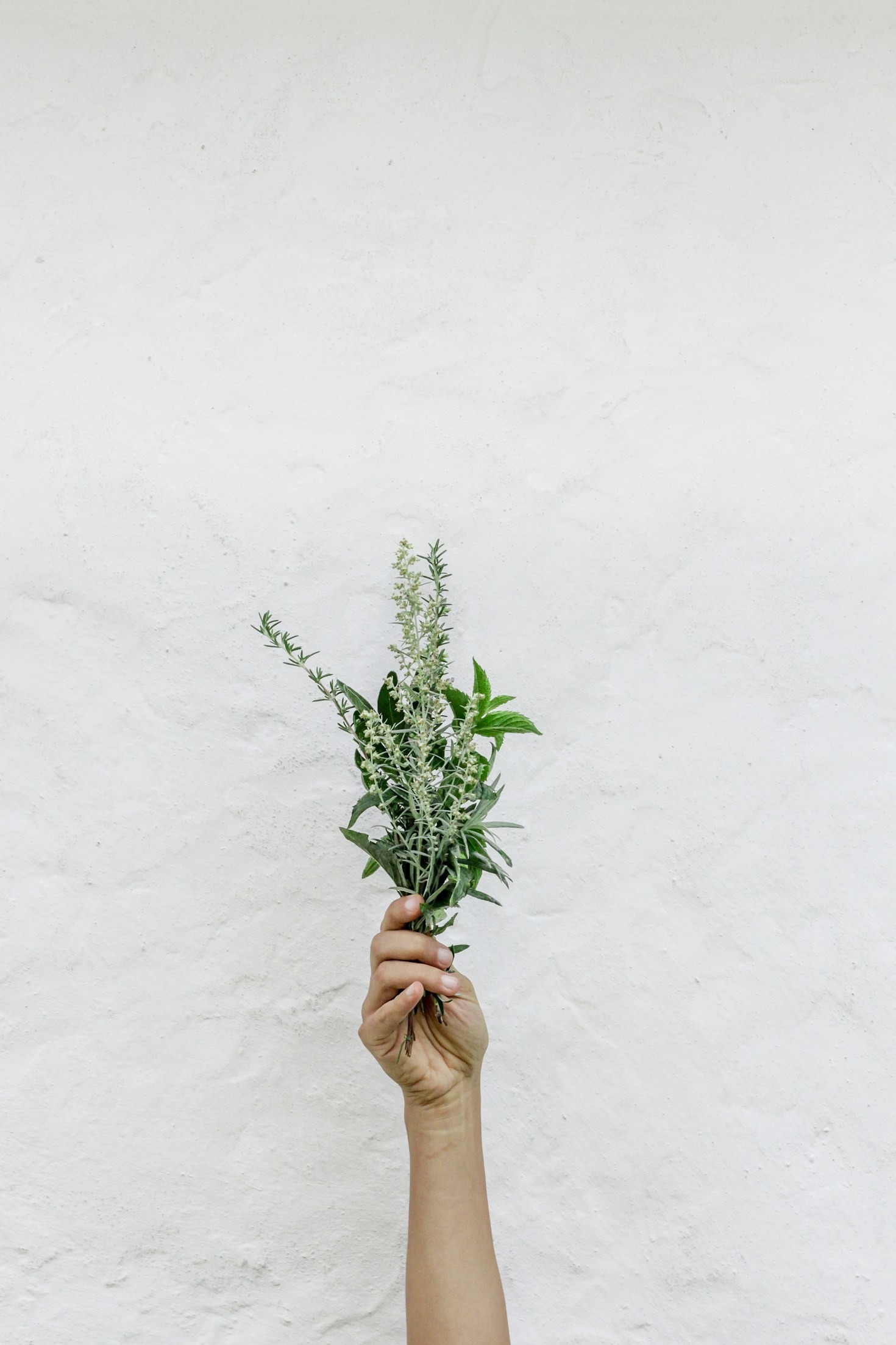 The Role of Diet in Skin Health